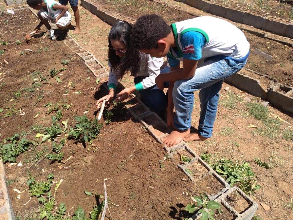 Visita Projeto Horta nas Escolas - Barreiras